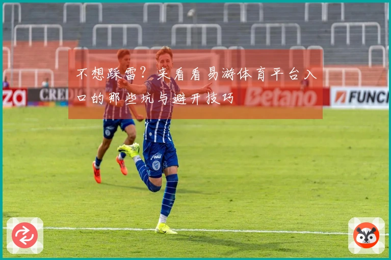 不想踩雷？来看看易游体育平台入口的那些坑与避开技巧