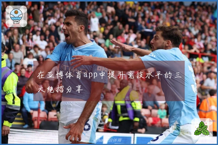 在亚博体育app中提升竞技水平的三大绝招分享